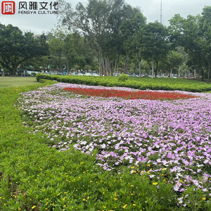 欧美viedossexfree潮喷
