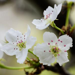 欧美viedossexfree潮喷
